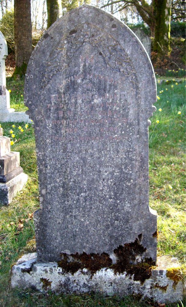 lillicrap grave