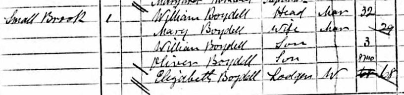 Extract from 1871 census