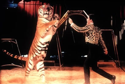 Richard Chipperfield in ring with tiger