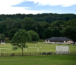 Sandford Cricket pitch