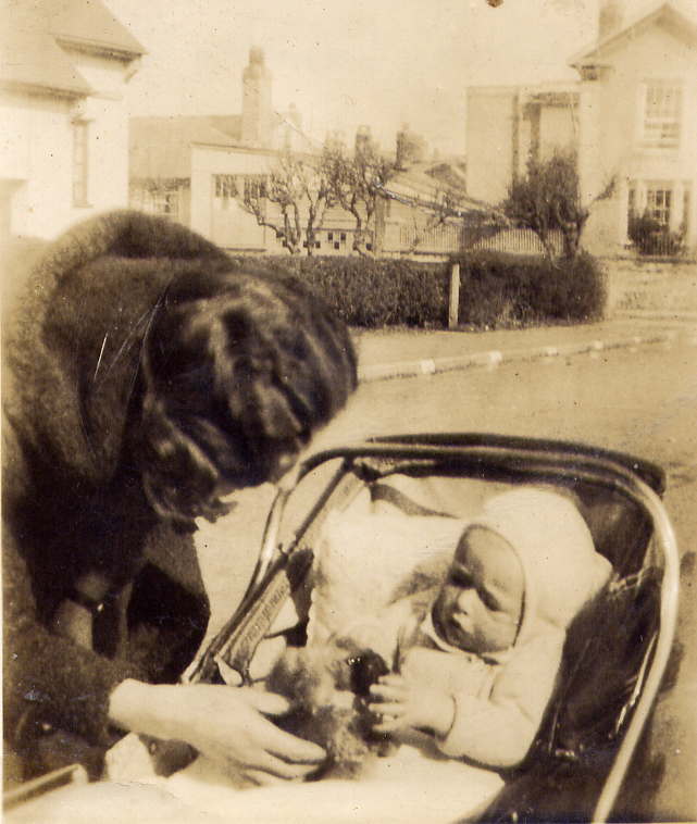 steve in pram