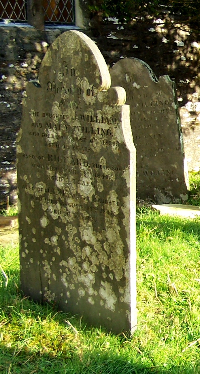 willing graves